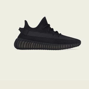 Yeezy Onyx size 6.5